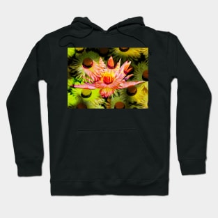 Flowers of beauty Hoodie